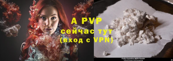 твердый Аркадак