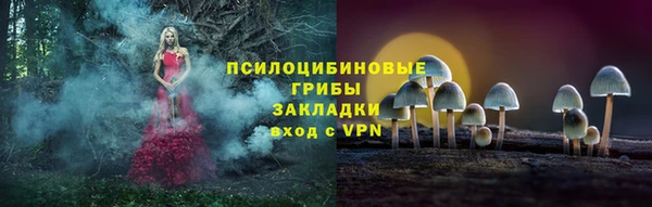 герыч Арсеньев