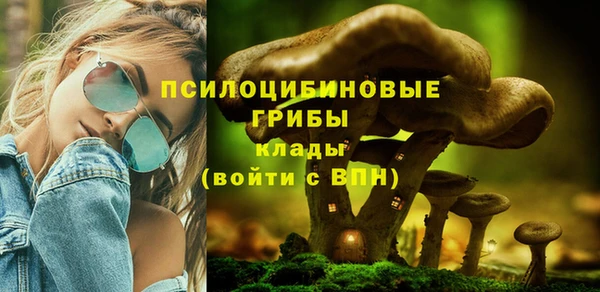 ГАЛЛЮЦИНОГЕННЫЕ ГРИБЫ Армянск