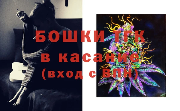 ГАЛЛЮЦИНОГЕННЫЕ ГРИБЫ Армянск