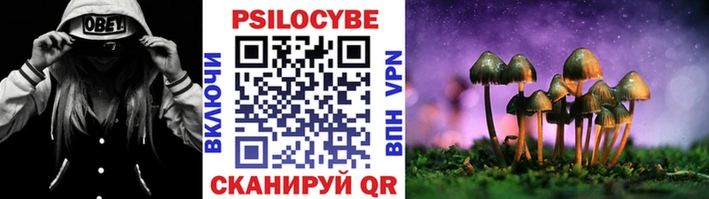 цены   Калуга  Галлюциногенные грибы Psilocybine cubensis 