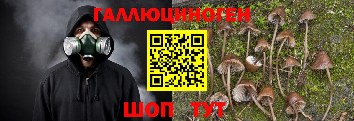 хочу наркоту  Галлюциногенные грибы Cubensis  Вход с VPN  Калуга 